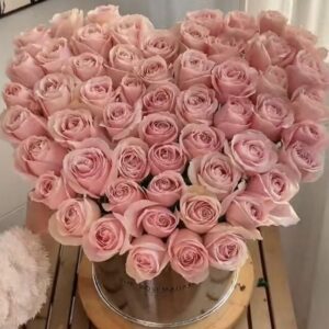 قلب من حرير